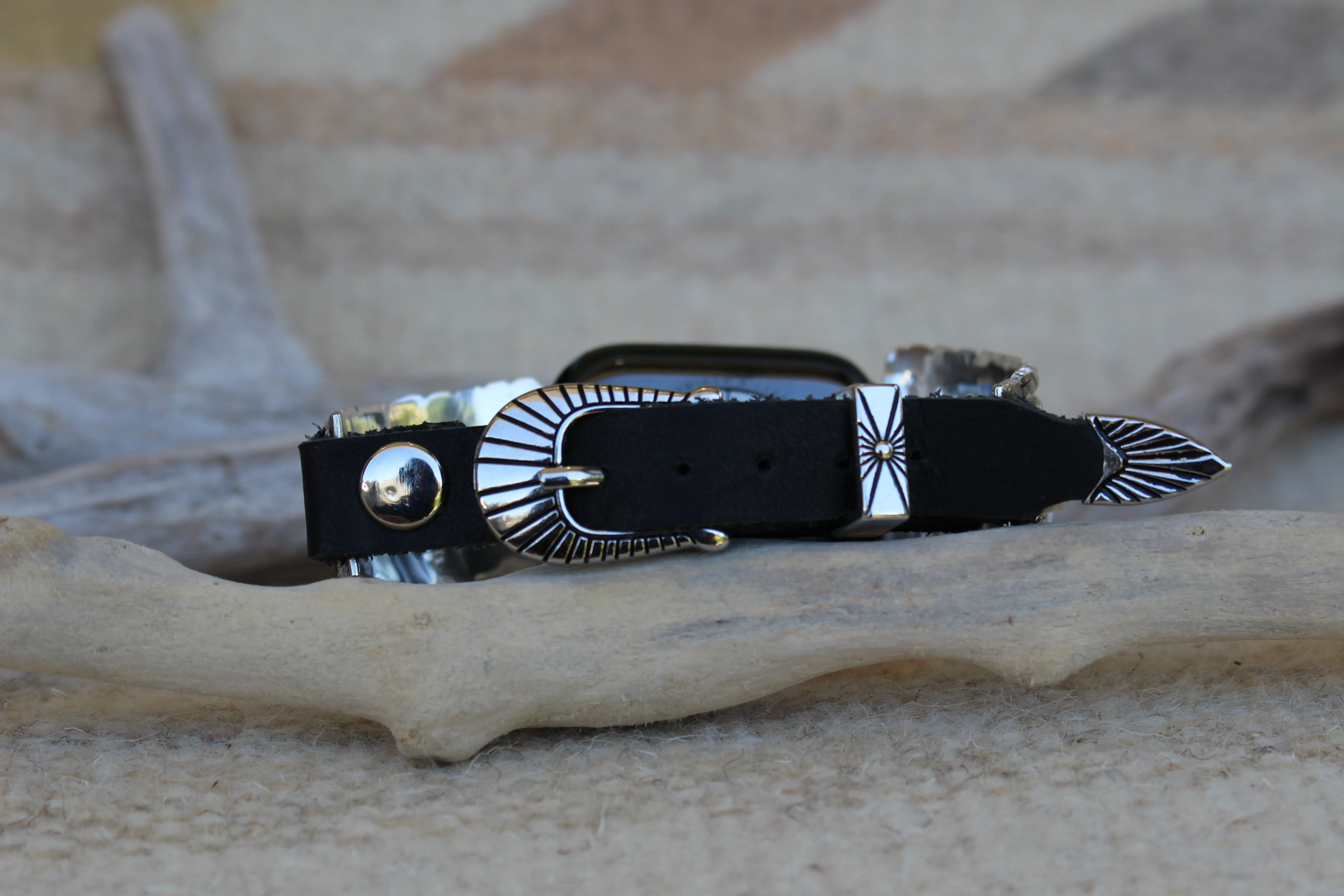 Black Onyx Apple Watch Bands