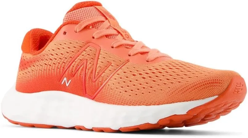 New Balance Women's 520 V8 Running Shoe