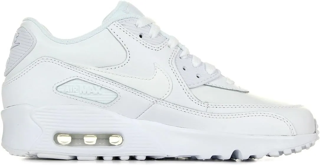 Nike Air Max 90 LTR (Big Kid)