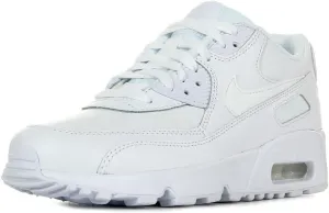 Nike Air Max 90 LTR (Big Kid)