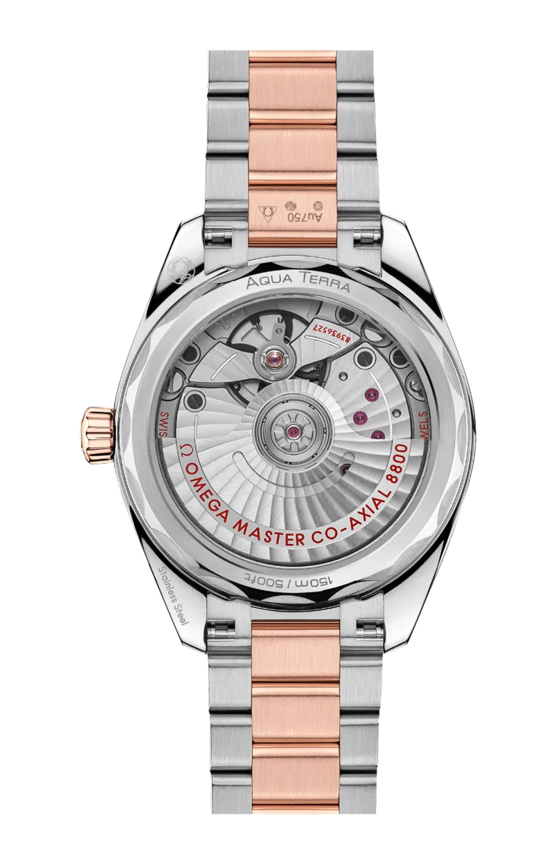 Omega Seamaster Aqua Terra Stainless steel & 18K Canopus Gold™ Unisex Watch