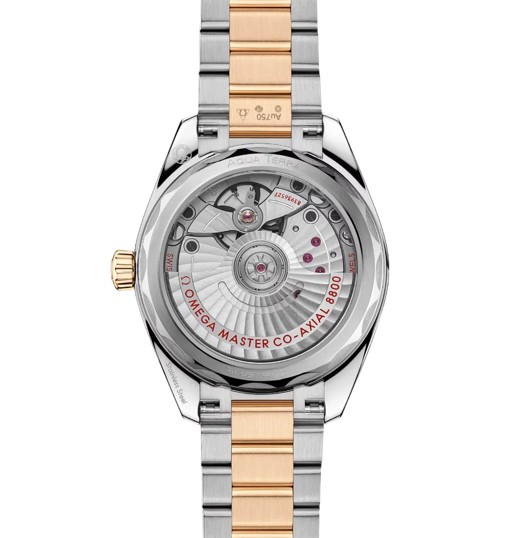 Omega Seamaster Aqua Terra Stainless steel & 18K Moonshine™ gold Lady's Watch