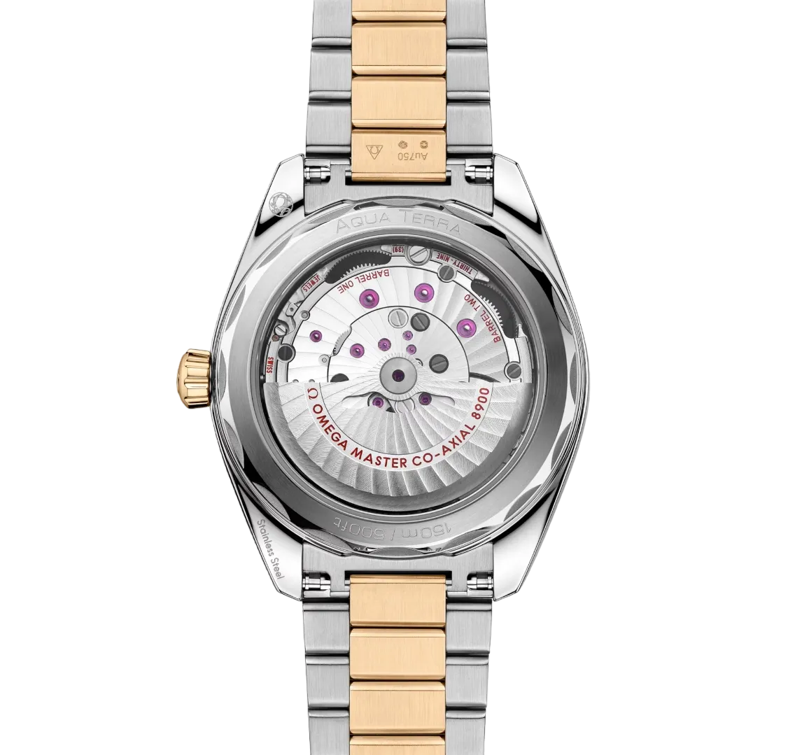 Omega Seamaster Aqua Terra Stainless steel & Moonshine™ gold Men's Watch
