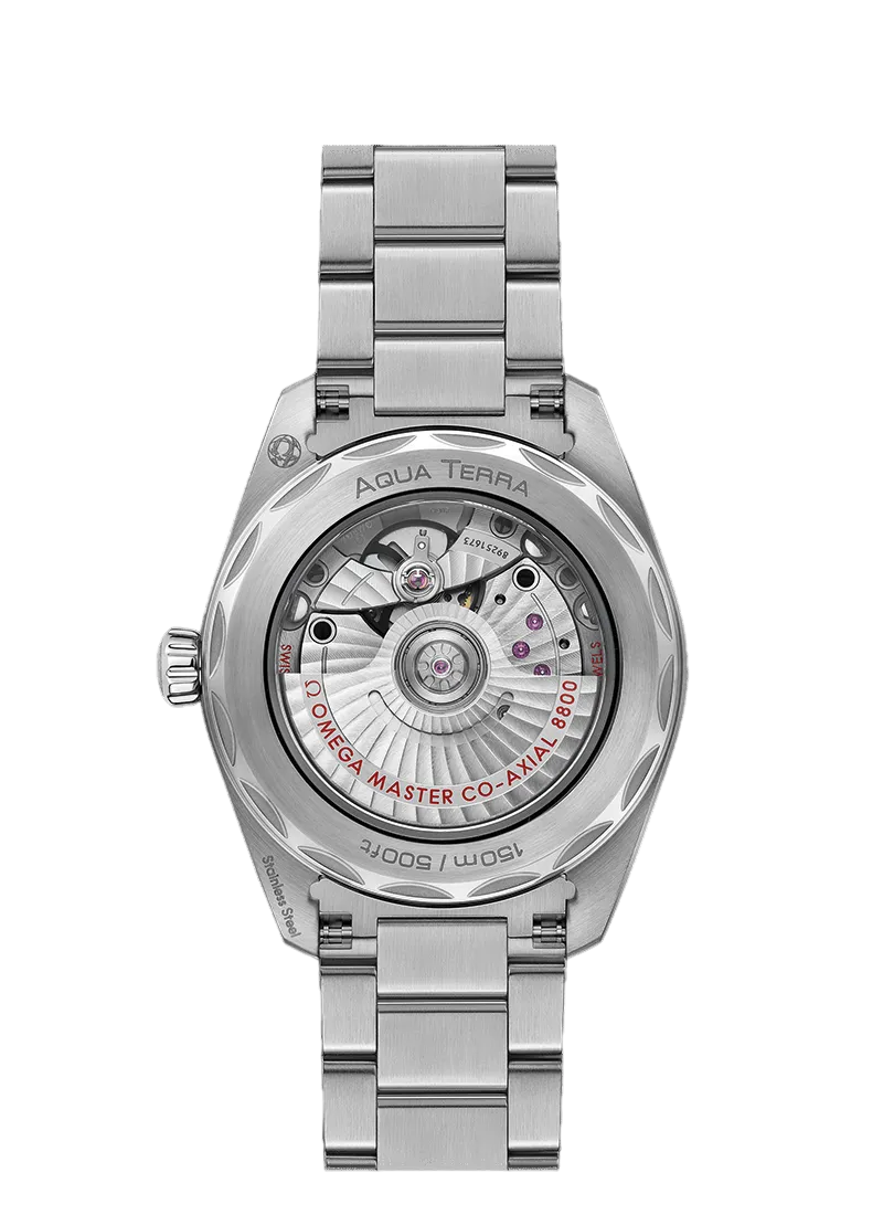 Omega Seamaster Aqua Terra Stainless steel Unisex Watch