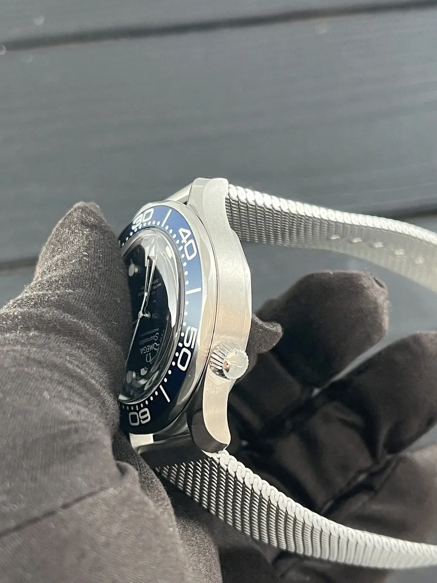 Omega Seamaster Diver Stainless steel &amp; Ceramic Men's Watch