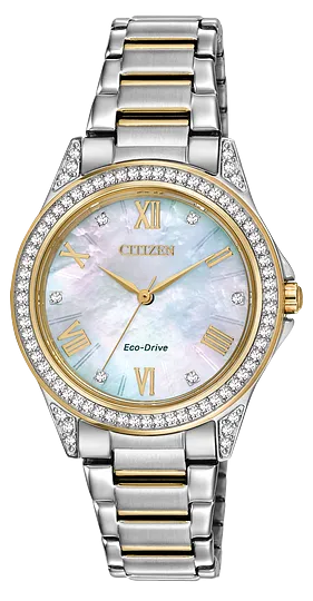 Weekender Citizen Watch